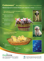 Увеличить Увеличить